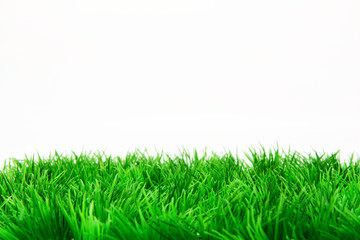 Green grass isolated on white background