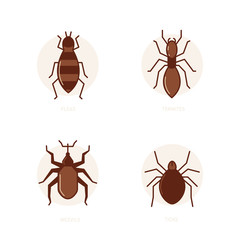 Fleas, termites, weevils, ticks simple vector 