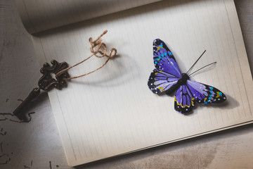 vintage key  and butterfly on black minimal notebook, vintage style