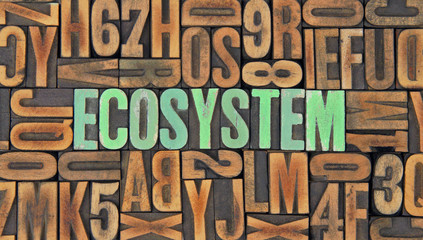 Ecosystem / caracteres d'imprimerie en bois 