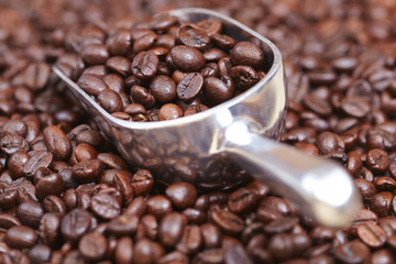 coffee beans