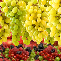 Image of many fruits close-up