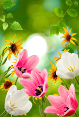 Image of different beautiful flowers in the garden closeup