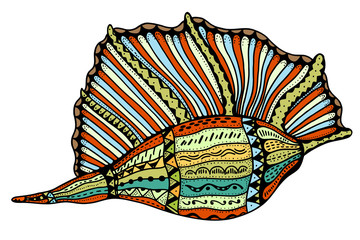 Seashell line art