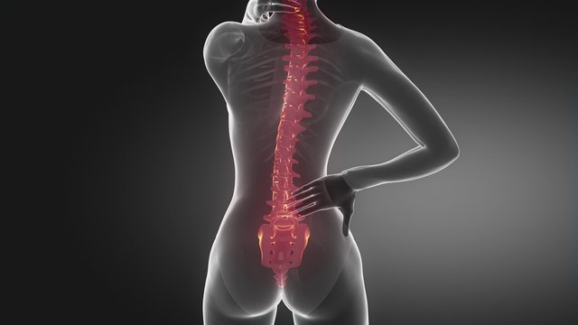 Female backbone injury pain - spine hurt concept