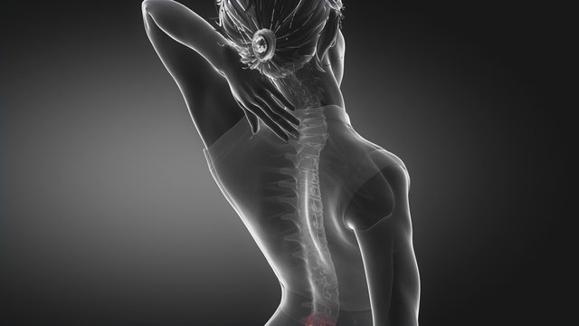Female backbone pain - spine hurt concept