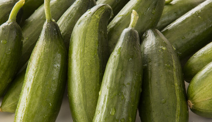 cucumbers on white background