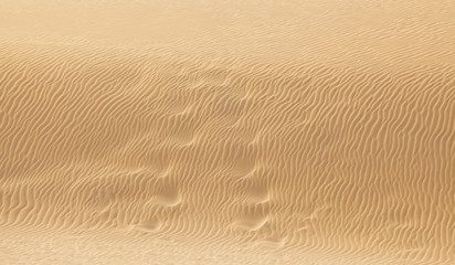 desert sand