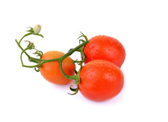 tomatoes  on white  background