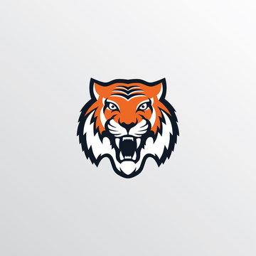 wild tiger logotype theme