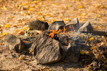 a fire in the forest, with the flame lights and beautiful stones