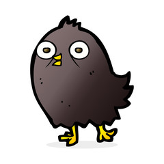 funny cartoon bird