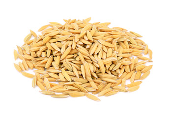 paddy rice on white background