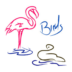Bird characters (a Flamingo and a Swan)