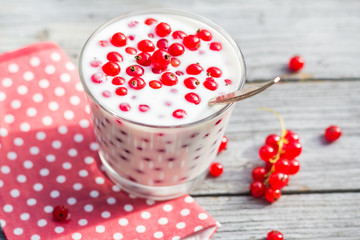 buttermilk fruit red currant table garden