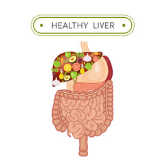 Healthy liver concept