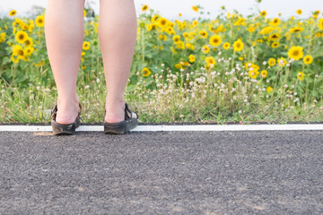 Girl standing in front of sunflower fields