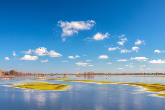 Flooded field in front of the Dutch river IJssel