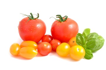 Tomatoes on white background