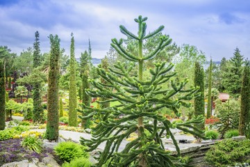 Beautiful Paradise Garden Called Flor og Fjaere in Stavanger, Norway