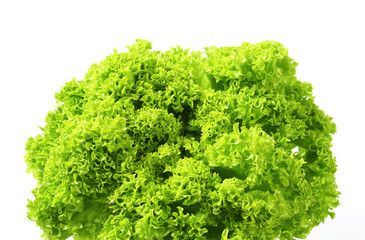 Obraz premium Lettuce Lollo Bionda