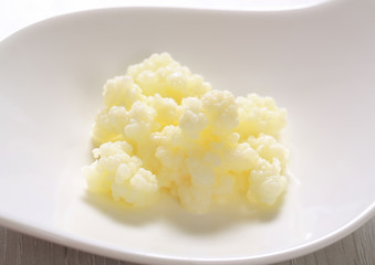 Milk kefir grains (Tibetan mushroom)