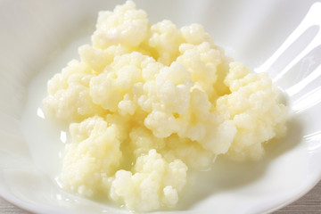 Milk kefir grains (Tibetan mushroom)