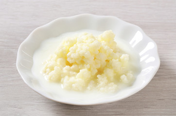 Milk kefir grains (Tibetan mushroom)