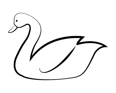 Swan