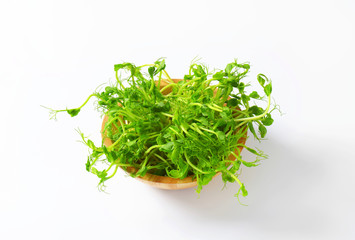 Green pea shoots