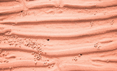 orange wall paper art frome sandy