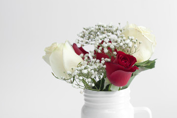 roses vase white background