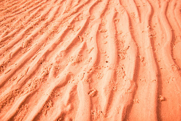 orange texture from sand beach