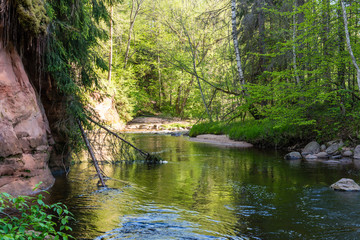 Summer river with reflections