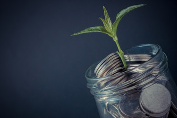 plant growing out of coins with filter effect retro vintage style