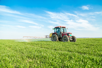 Farmer spraying green wheat field © oticki
