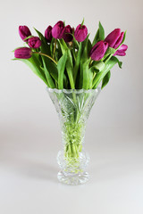 Tulips flowers with drops of dew in cristal vase
