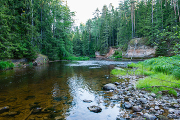 Summer river with reflections