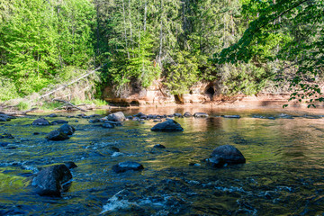 Summer river with reflections