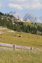 panorama da Prato Piazza (Dolomiti)