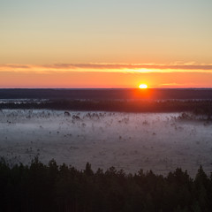 Foggy colorful morning above fields