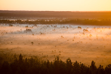 Obraz na płótnie Canvas Foggy colorful morning above fields