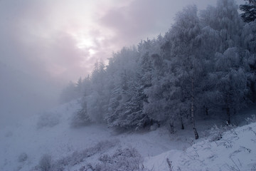 Snow covered mountain Ile Alatau on cloudy day, snow covered trees in the mountains