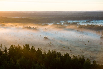 Foggy colorful morning above fields