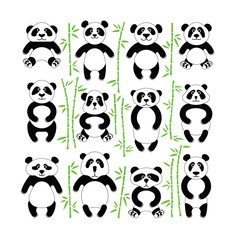 Pandas bear flat. Panda animal isolated.