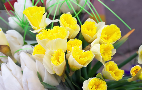 Beautiful bouquet of daffodils. Fresh spring flowers