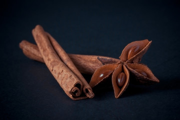 cinnamon sticks with filter effect retro vintage style