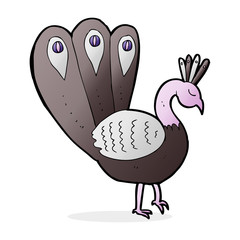cartoon peacock
