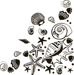 силуэты ракушек в углу