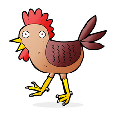 funny cartoon chicken